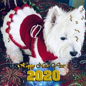 Meet your Posher, Joelle diane